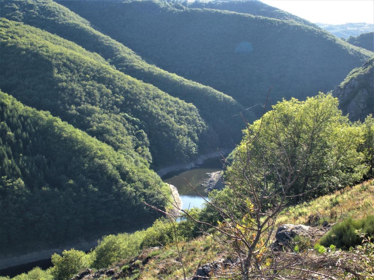 Chalet Nature Sur La Vallee De La Truyere Neuvéglise エクステリア 写真